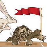 Fundraising Page: Sheri Patterson